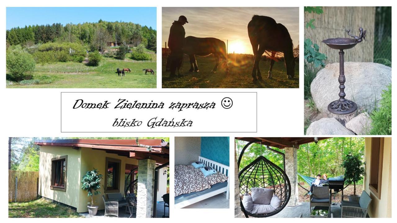 Domek Zielenina Mierzeszyn Buitenkant foto