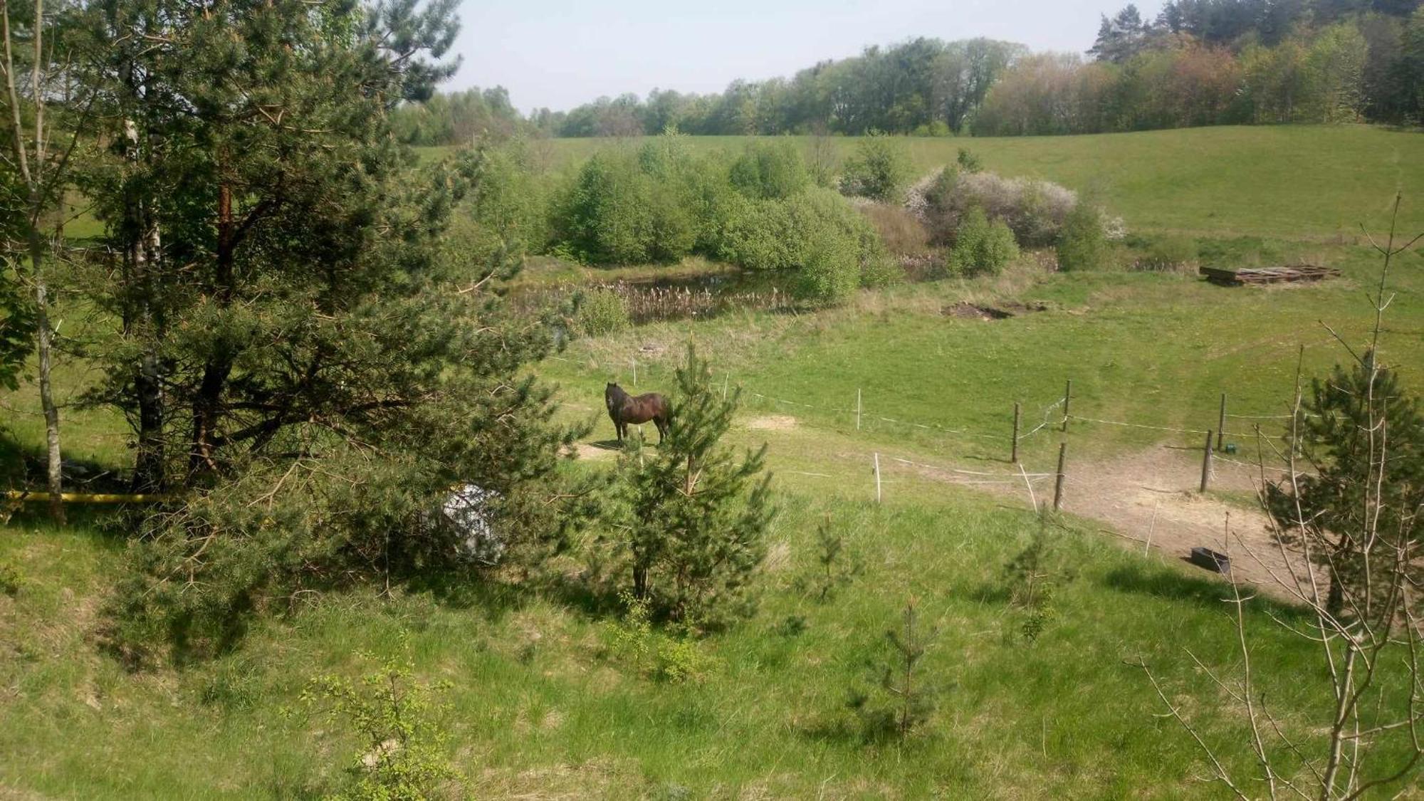 Domek Zielenina Mierzeszyn Buitenkant foto